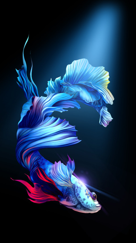 Amoled fish underwater screenshot