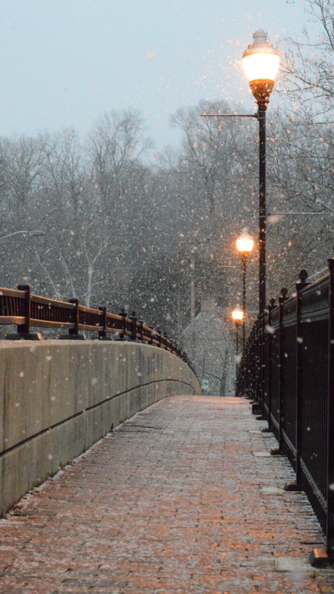 Bridges 2 screenshot