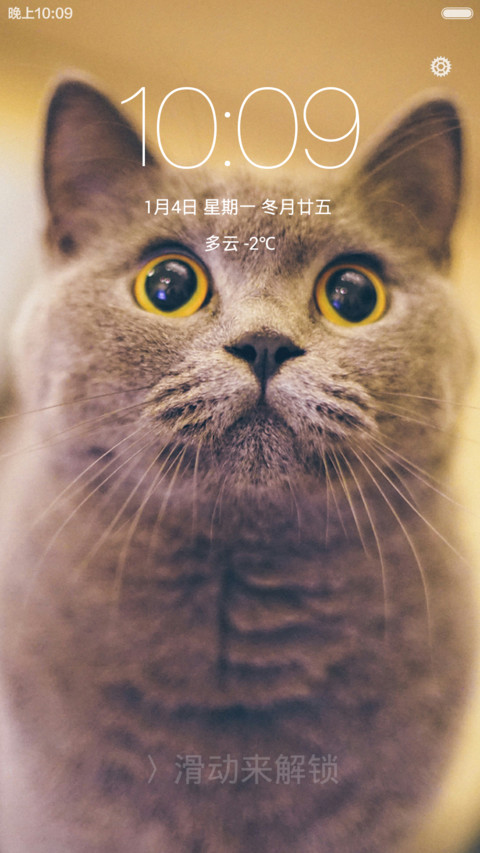 萌喵baby screenshot