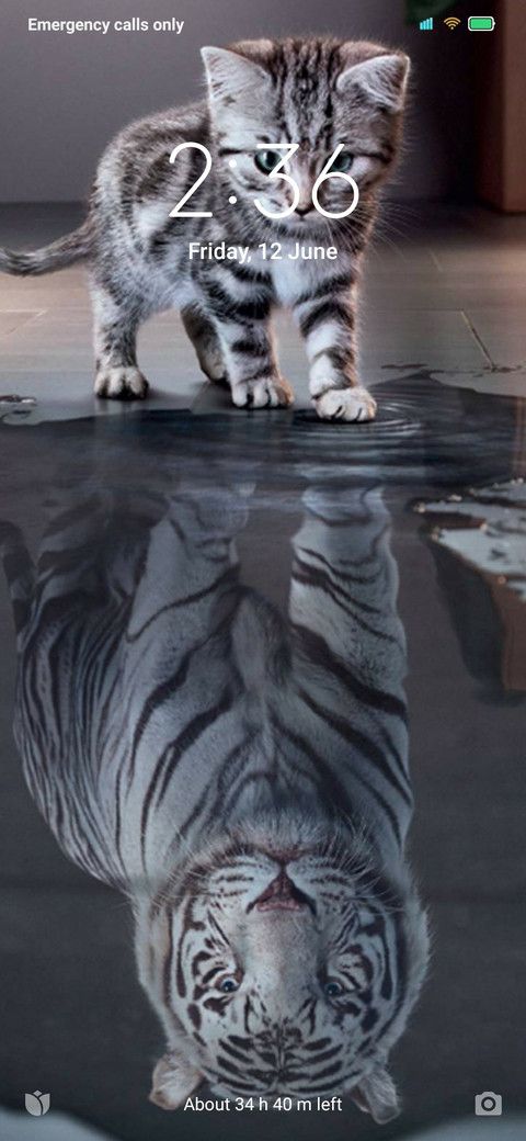 White Cat v11 screenshot