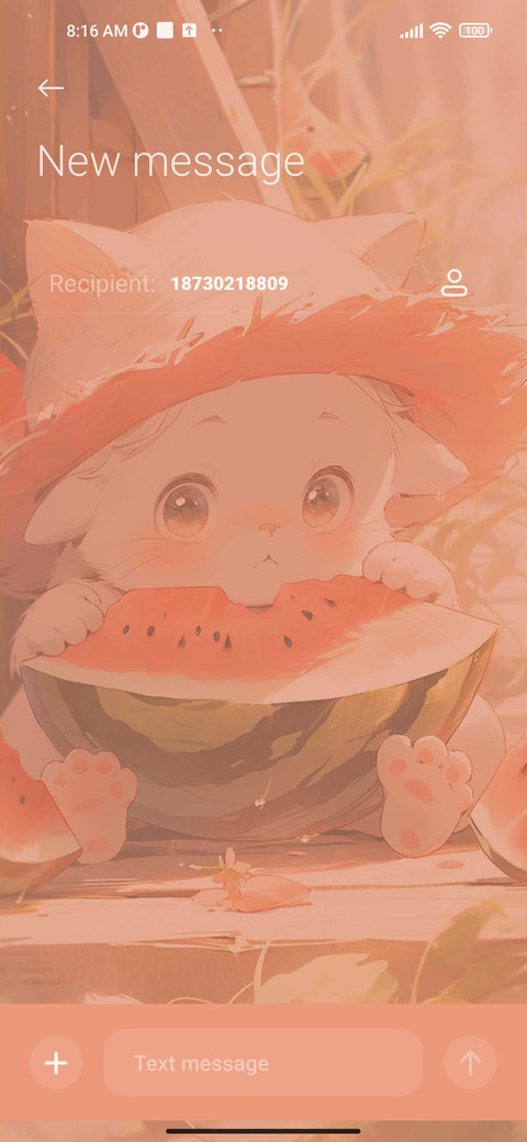 Summer Cat screenshot