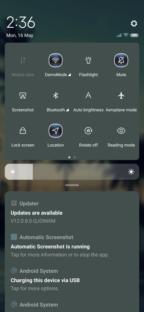 Beach coconut tree screenshot