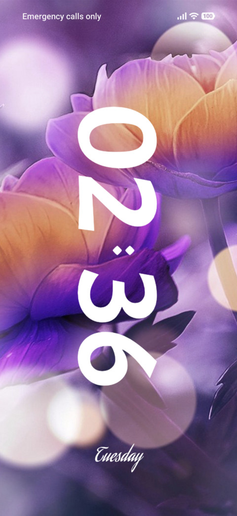 Flower screenshot