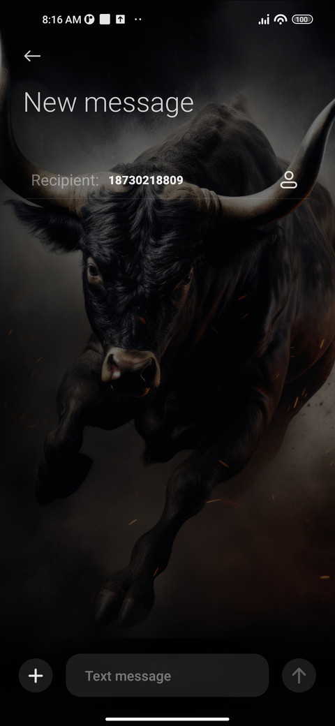 Angry Bull screenshot