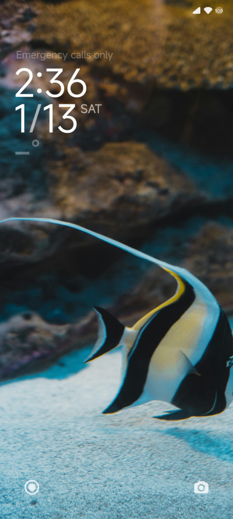 ZEBRAFISH_V15 screenshot