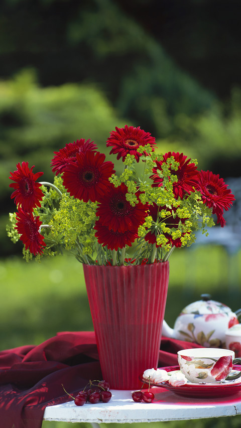 How to use flower arranging materials 5 screenshot