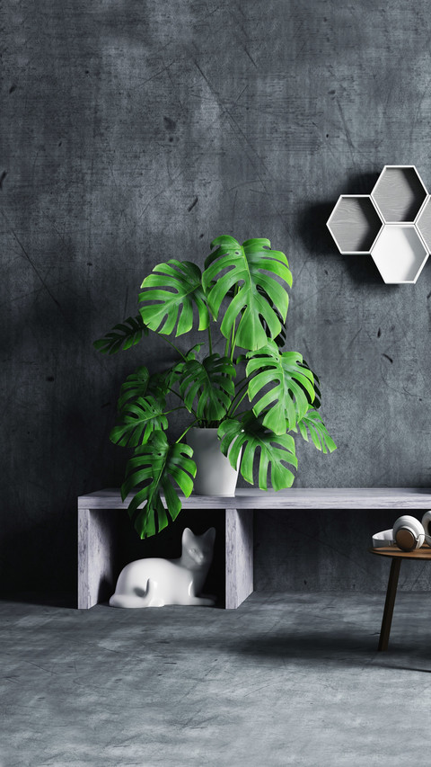 Green plants are the first choice for households with screenshot