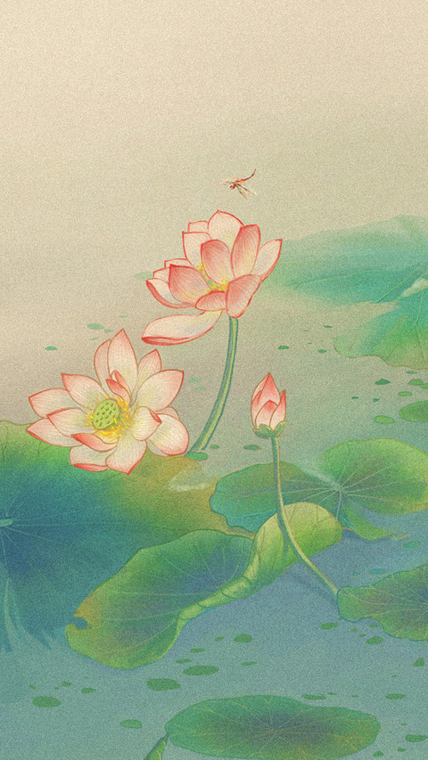 映日荷花别样红 screenshot