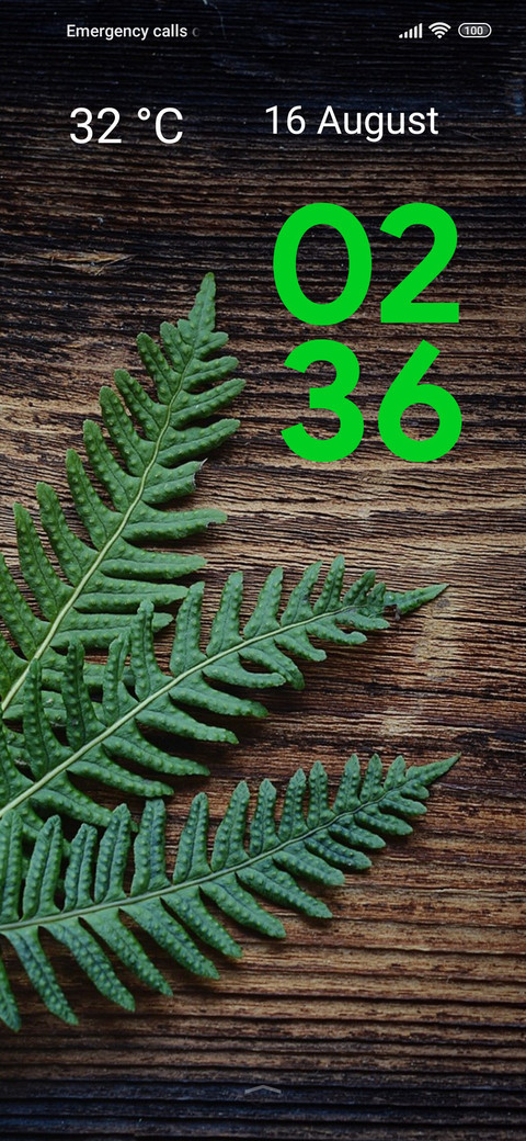 wood fern screenshot