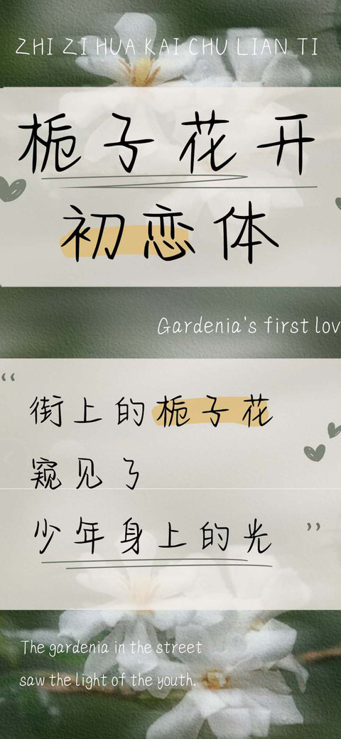 栀子花开初恋体 screenshot