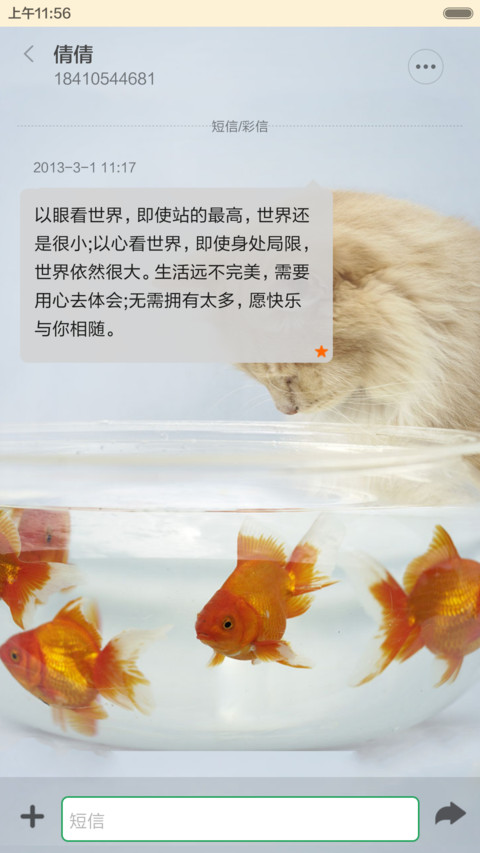 猫和金鱼 screenshot