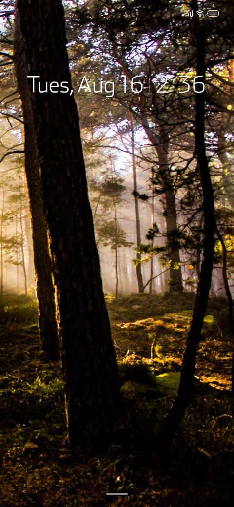 Canopy screenshot