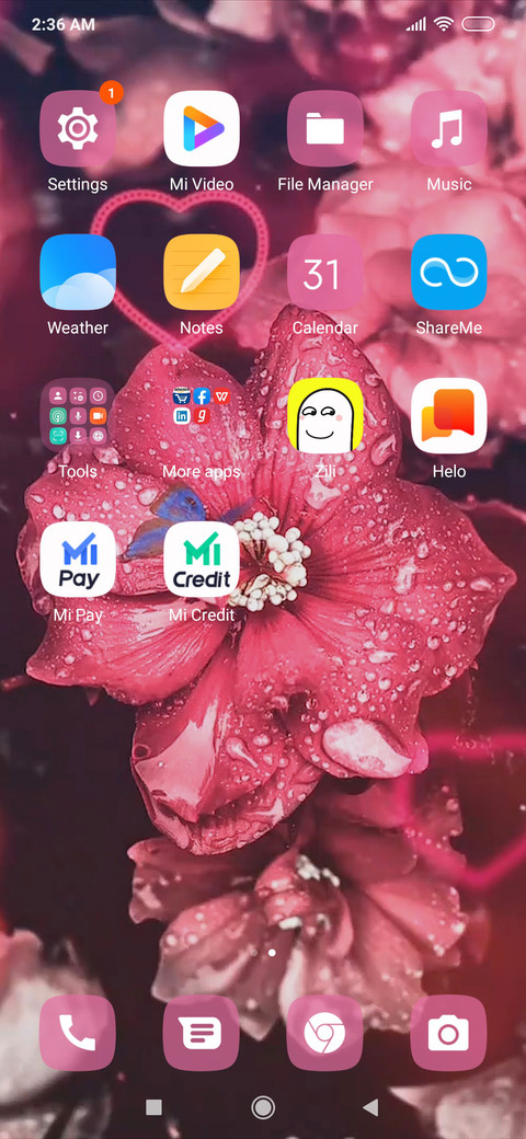 Blossom KPV screenshot