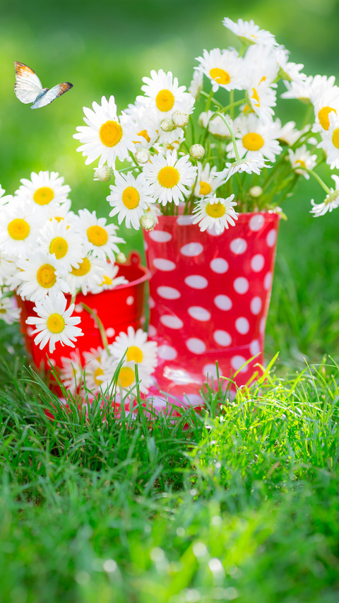 Spring is here screenshot