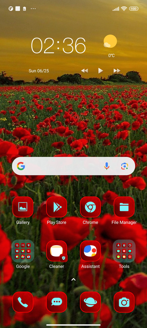flowers poppies screenshot