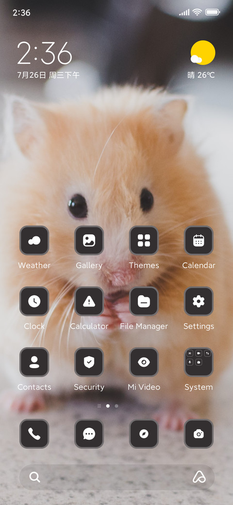 hamster screenshot