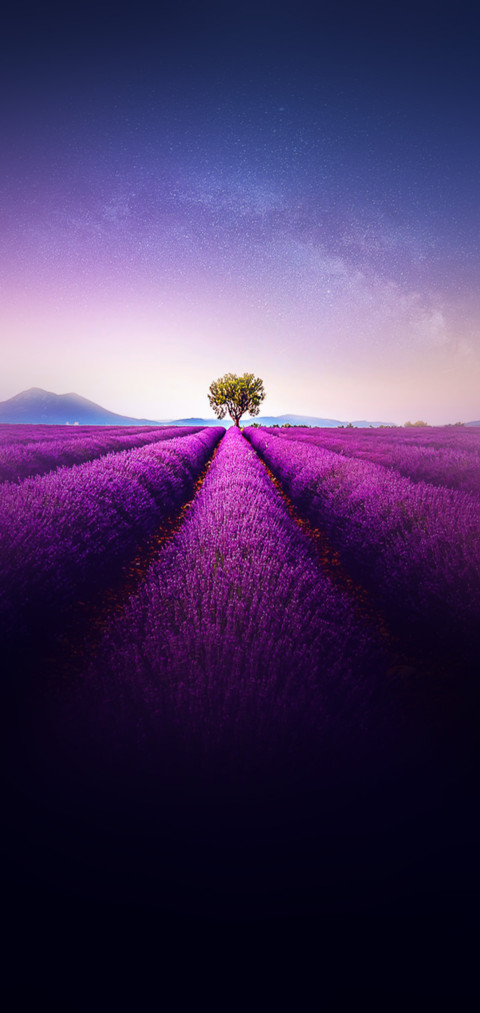 远景 screenshot