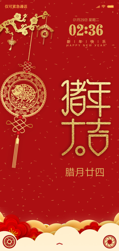 猪年大吉 screenshot