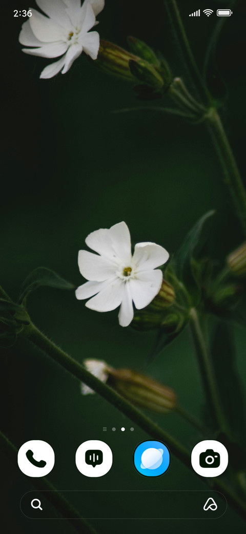 Pearl Bloom screenshot