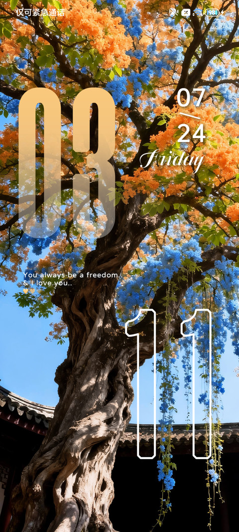 景深 梧桐落夏 screenshot