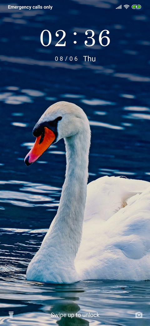 White Swan_3MDS screenshot