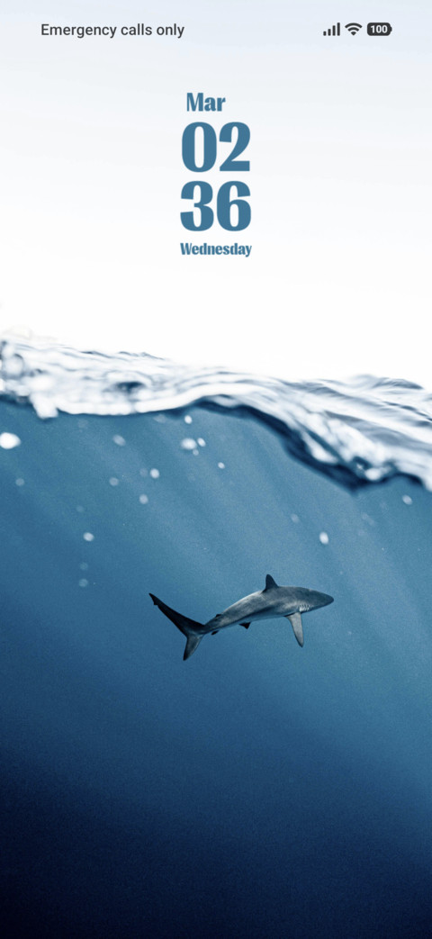 Shark screenshot