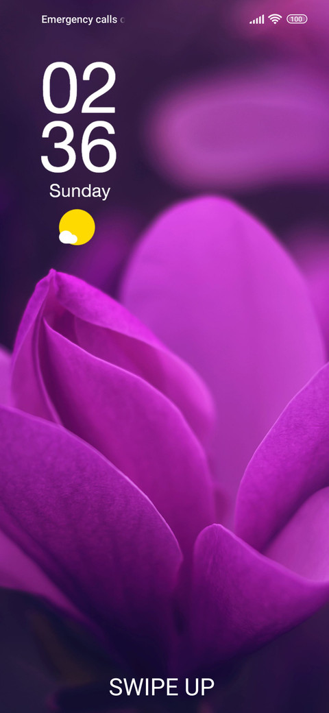 Violet Vista screenshot