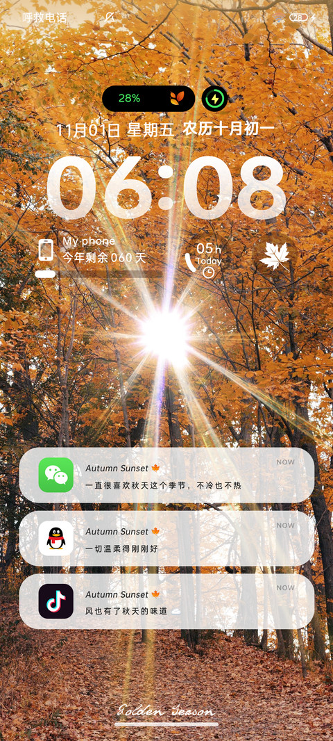 丁达尔光 秋日枫叶 screenshot