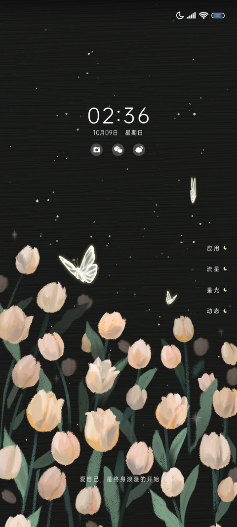 夜色郁金香 screenshot