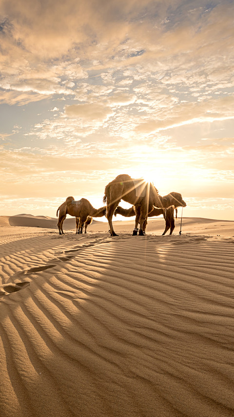 Magnificent Tengger Desert 0 screenshot