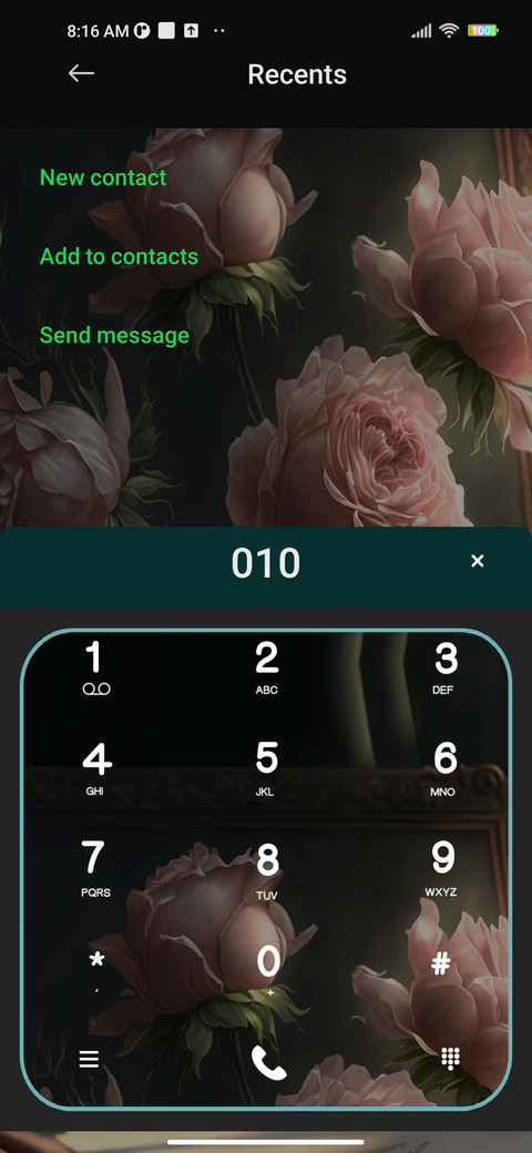  pink roses screenshot
