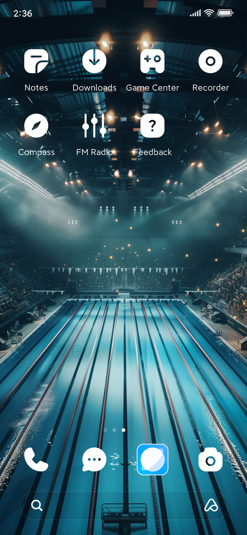 swimming contest screenshot