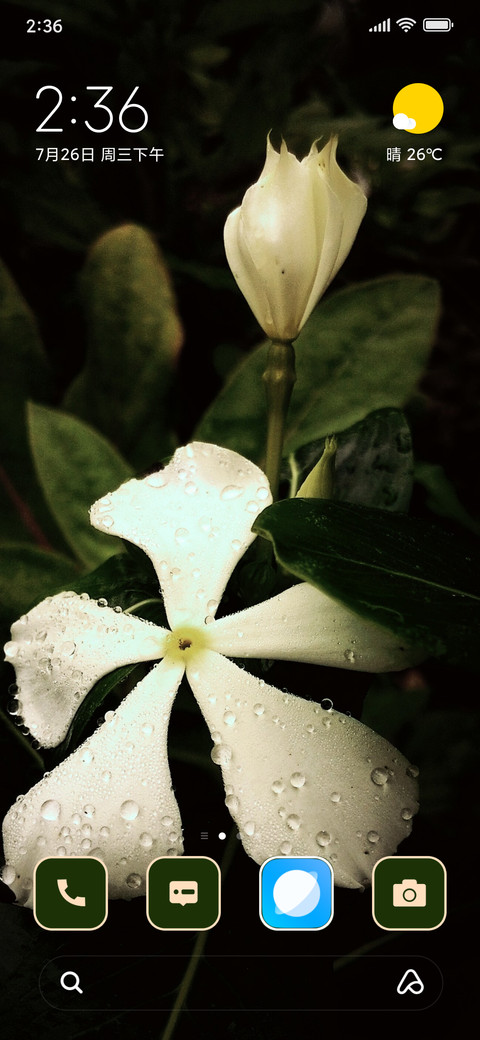 Crepe Jasmine screenshot
