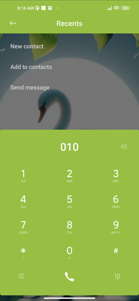 Beautiful Swan screenshot