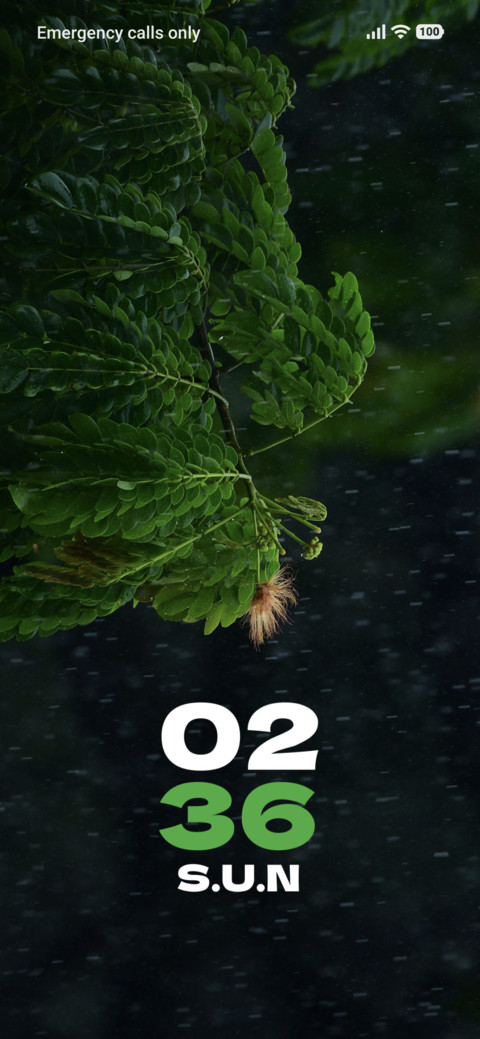 Dew Leaf screenshot