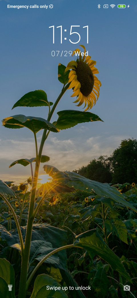 Sunflower - Evening_3MDS screenshot