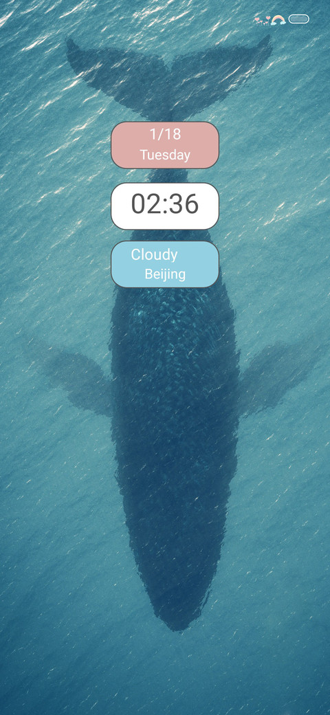 Big fish screenshot