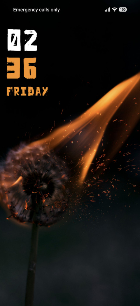 Dandelion screenshot