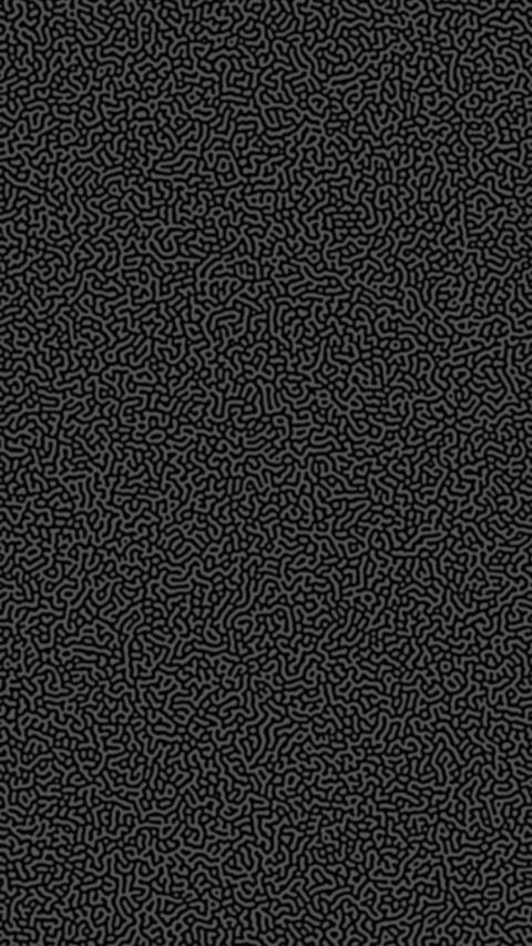 Turing Pattern B&W screenshot