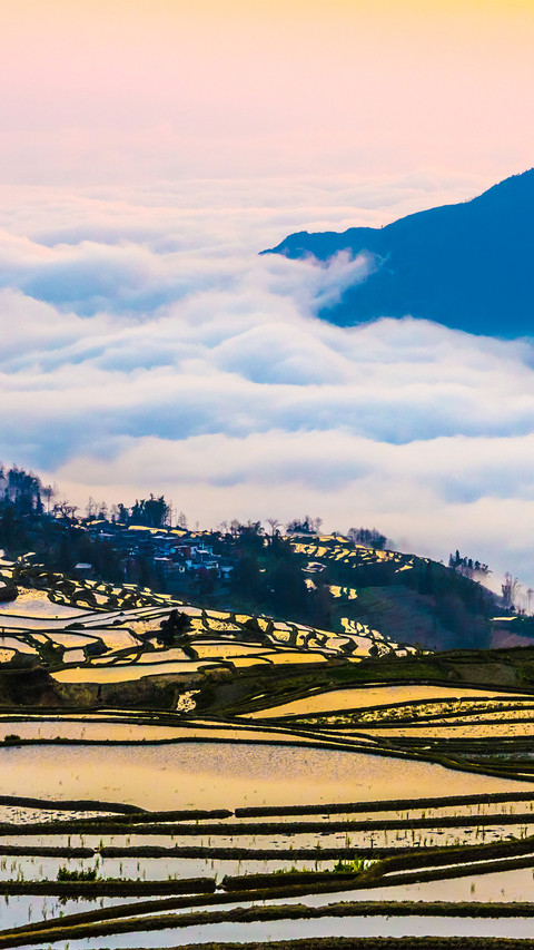 Beautiful Terraces screenshot