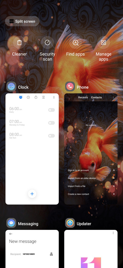 Koi carp screenshot