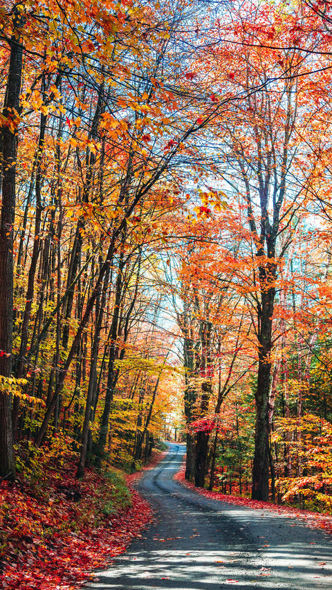 The autumn highway in maine screenshot