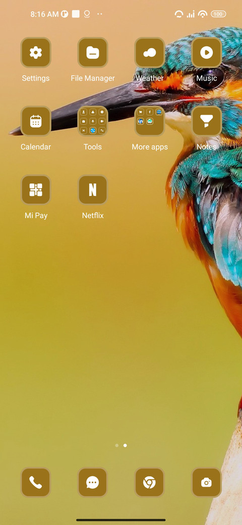 Kingfisher Bird screenshot