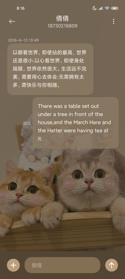 双模式贴贴小甜猫 screenshot