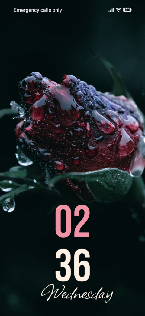 Crimson Bloom screenshot