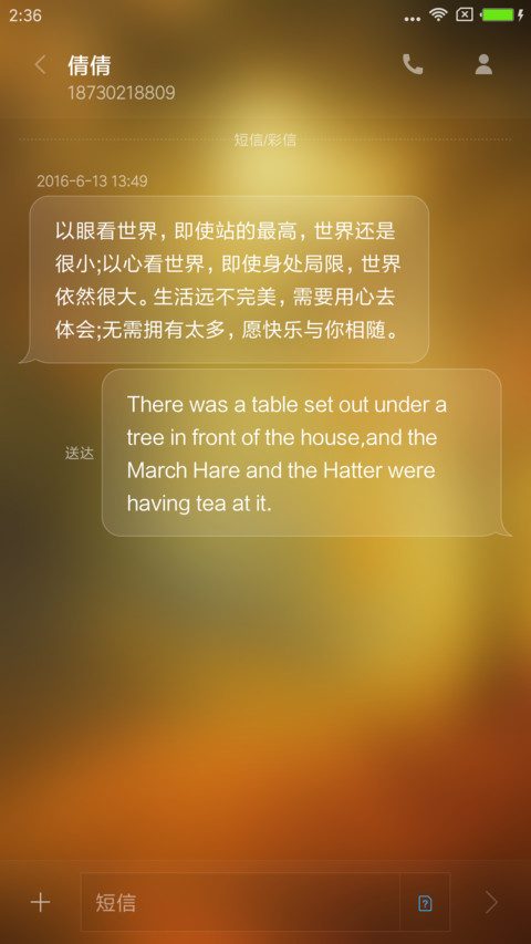 枫叶 screenshot