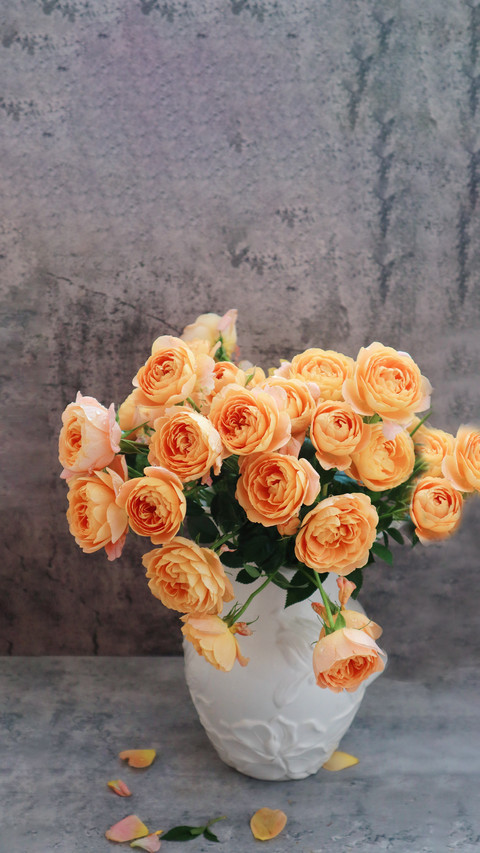 Why are roses prone to yellowing screenshot