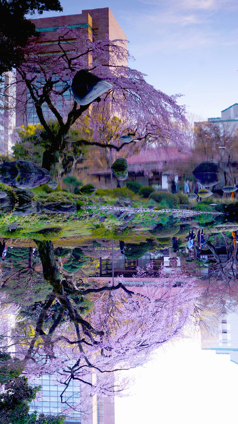 春和景明-拍信图库 screenshot