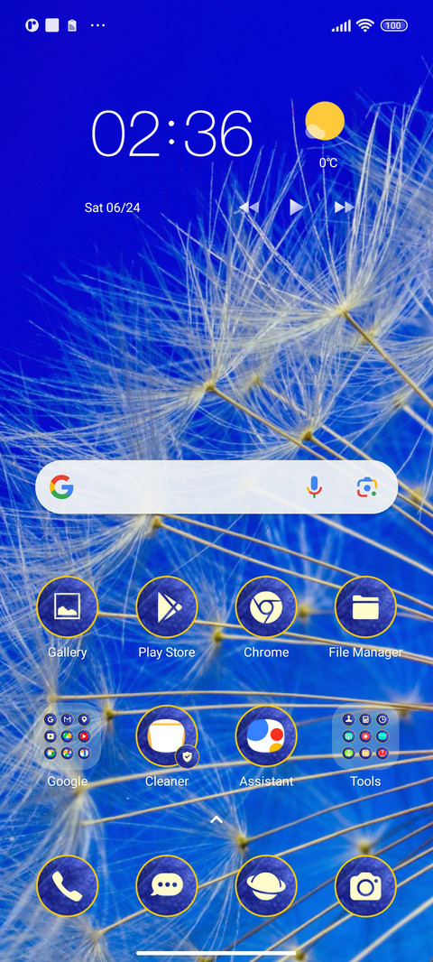flowers dandelion screenshot
