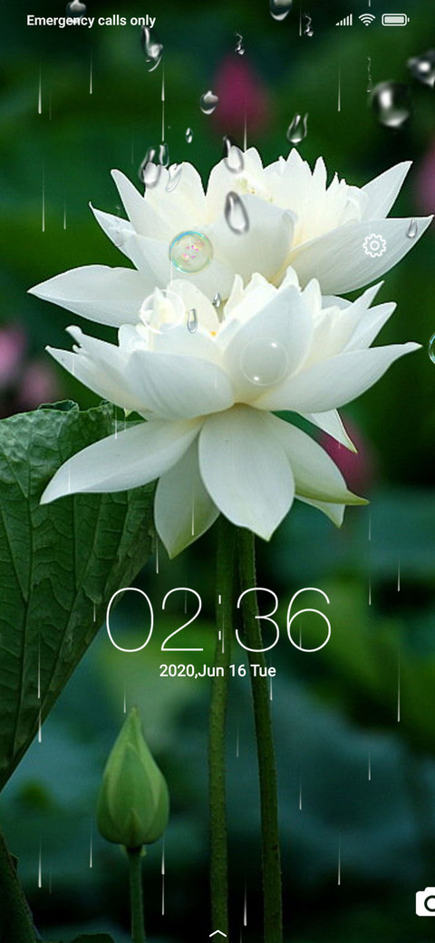 White Lotus screenshot